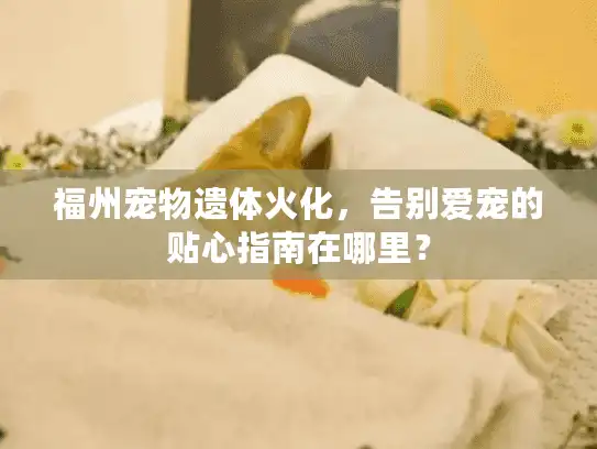 福州宠物遗体火化，告别爱宠的贴心指南在哪里？