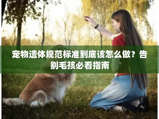 宠物遗体规范标准到底该怎么做？告别毛孩必看指南