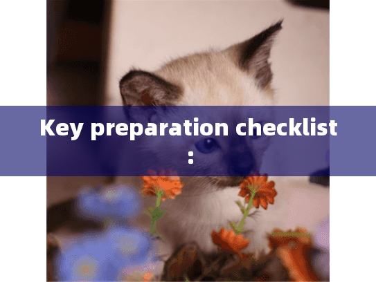 Key preparation checklist: