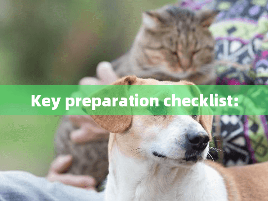 Key preparation checklist: