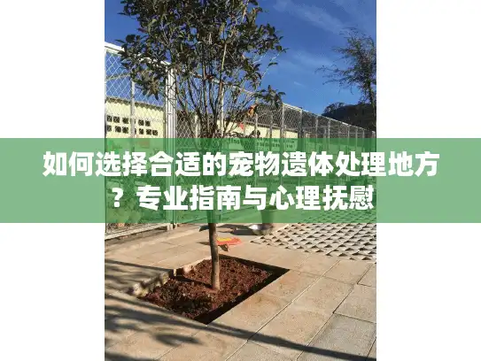 如何选择合适的宠物遗体处理地方?专业指南与心理抚慰 如何选择合适的宠物遗体处理地方?专业指南与心理抚慰