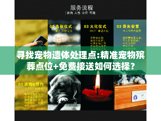 寻找宠物遗体处理点:精准宠物殡葬点位+免费接送如何选择？
