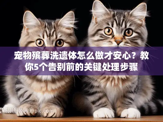 宠物殡葬洗遗体怎么做才安心？教你5个告别前的关键处理步骤