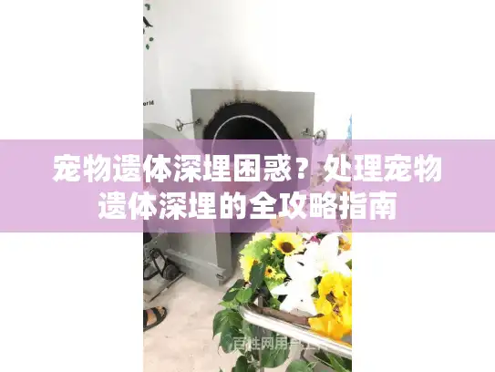 宠物遗体深埋困惑?处理宠物遗体深埋的全攻略指南 宠物遗体深埋困惑?处理宠物遗体深埋的全攻略指南