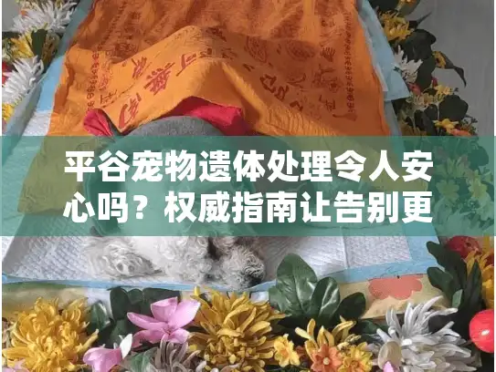 平谷宠物遗体处理令人安心吗？权威指南让告别更体面