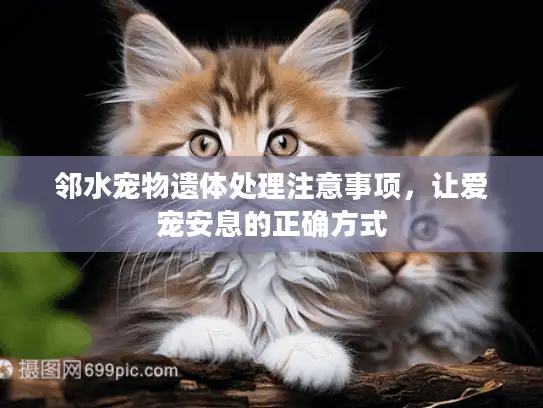 邻水宠物遗体处理注意事项，让爱宠安息的正确方式