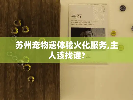 苏州宠物遗体验火化服务,主人该找谁?