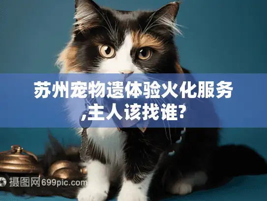 苏州宠物遗体验火化服务,主人该找谁?