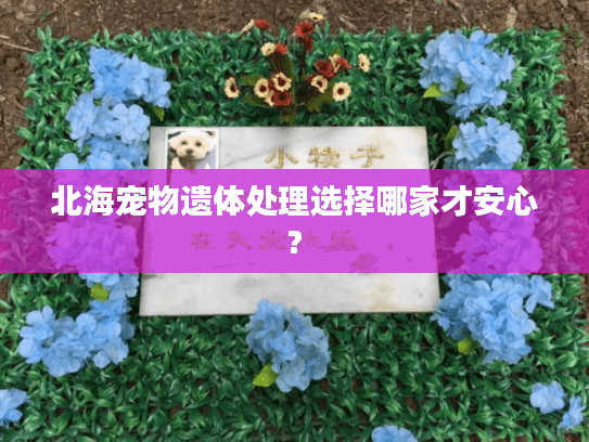 北海宠物遗体处理选择哪家才安心?