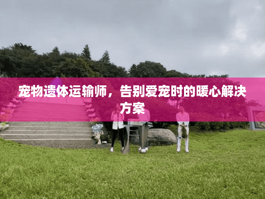 宠物遗体运输师，告别爱宠时的暖心解决方案