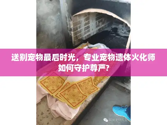 送别宠物最后时光,专业宠物遗体火化师如何守护尊严? 送别宠物最后时光,专业宠物遗体火化师如何守护尊严?