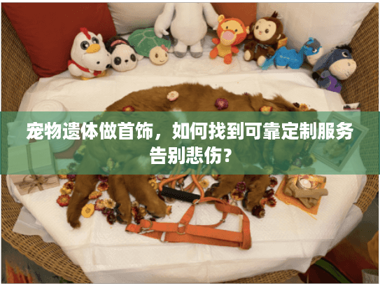 宠物遗体做首饰，如何找到可靠定制服务告别悲伤？