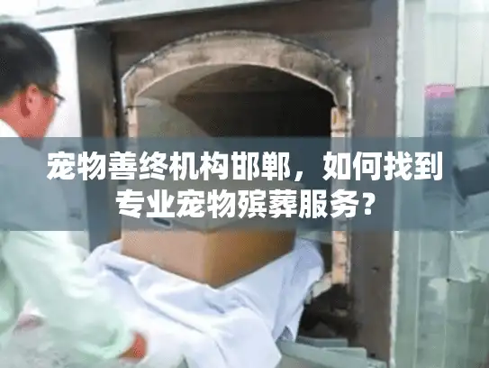 宠物善终机构邯郸，如何找到专业宠物殡葬服务？