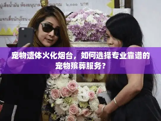 宠物遗体火化烟台，如何选择专业靠谱的宠物殡葬服务？