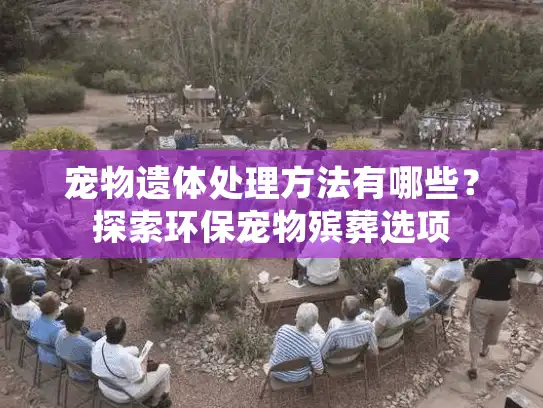 宠物遗体处理方法有哪些？探索环保宠物殡葬选项