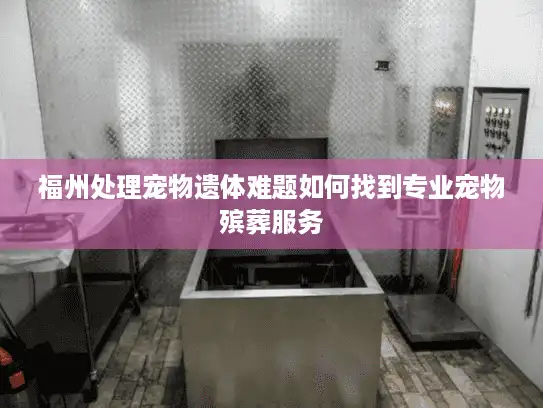 福州处理宠物遗体难题如何找到专业宠物殡葬服务