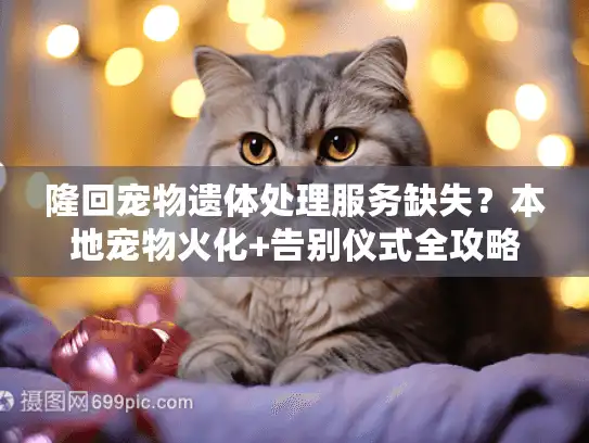 隆回宠物遗体处理服务缺失？本地宠物火化+告别仪式全攻略