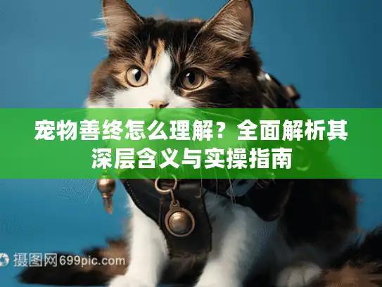 宠物善终怎么理解？全面解析其深层含义与实操指南