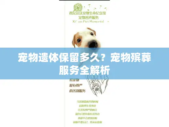 宠物遗体保留多久?宠物殡葬服务全解析 宠物遗体保留多久?宠物殡葬服务全解析