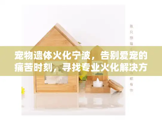 宠物遗体火化宁波，告别爱宠的痛苦时刻，寻找专业火化解决方案