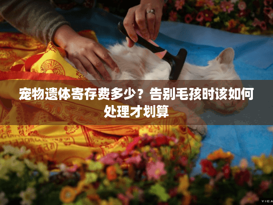 宠物遗体寄存费多少？告别毛孩时该如何处理才划算