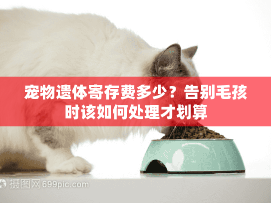 宠物遗体寄存费多少？告别毛孩时该如何处理才划算