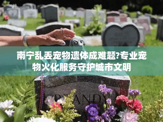 南宁乱丢宠物遗体成难题?专业宠物火化服务守护城市文明