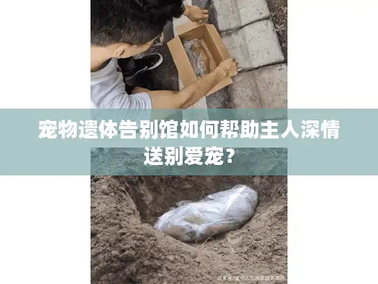宠物遗体告别馆如何帮助主人深情送别爱宠？