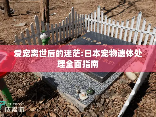 爱宠离世后的迷茫:日本宠物遗体处理全面指南 爱宠离世后的迷茫:日本宠物遗体处理全面指南