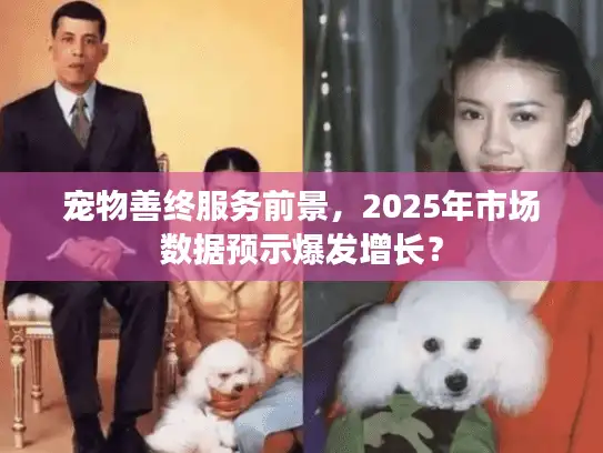 宠物善终服务前景，2025年市场数据预示爆发增长？