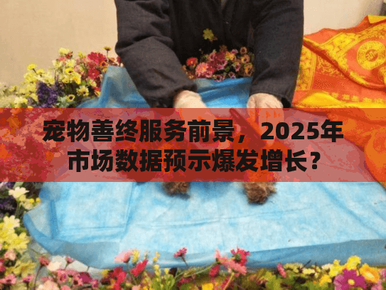 宠物善终服务前景，2025年市场数据预示爆发增长？