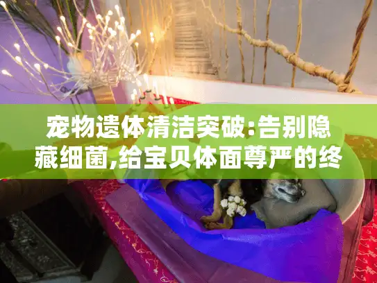 宠物遗体清洁突破:告别隐藏细菌,给宝贝体面尊严的终极方案 宠物遗体清洁突破:告别隐藏细菌,给宝贝体面尊严的终极方案