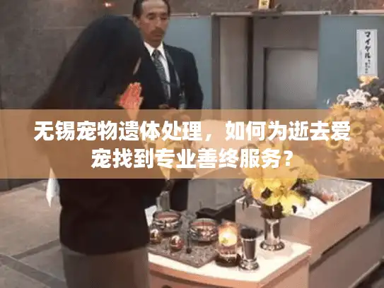 无锡宠物遗体处理，如何为逝去爱宠找到专业善终服务？