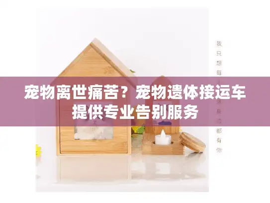 宠物离世痛苦？宠物遗体接运车提供专业告别服务