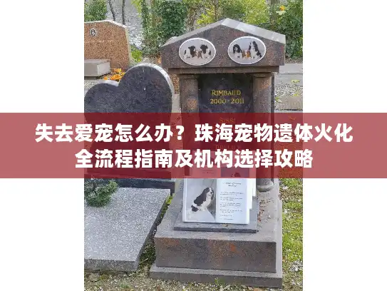 失去爱宠怎么办？珠海宠物遗体火化全流程指南及机构选择攻略