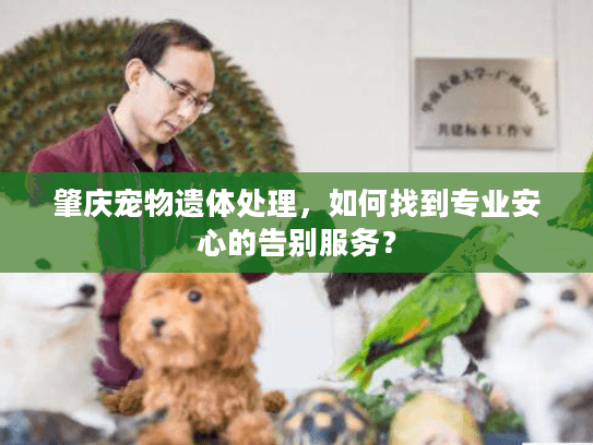 肇庆宠物遗体处理,如何找到专业安心的告别服务? 肇庆宠物遗体处理,如何找到专业安心的告别服务?