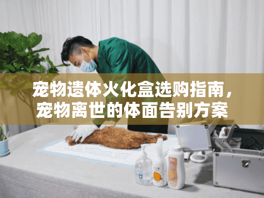宠物遗体火化盒选购指南，宠物离世的体面告别方案
