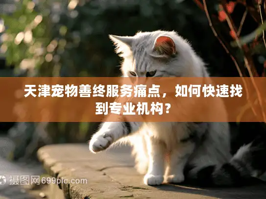 天津宠物善终服务痛点，如何快速找到专业机构？