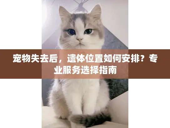 宠物失去后,遗体位置如何安排?专业服务选择指南 宠物失去后,遗体位置如何安排?专业服务选择指南