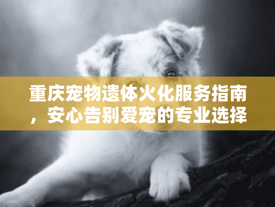 重庆宠物遗体火化服务指南，安心告别爱宠的专业选择