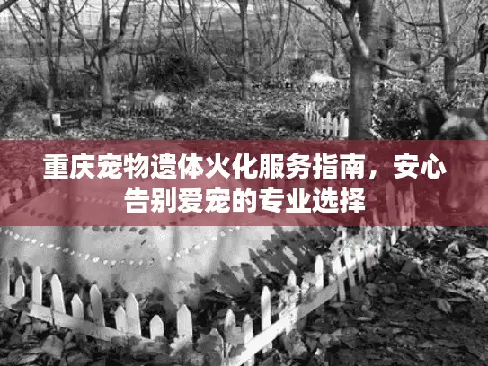 重庆宠物遗体火化服务指南，安心告别爱宠的专业选择