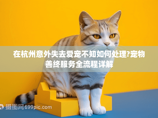 在杭州意外失去爱宠不知如何处理?宠物善终服务全流程详解