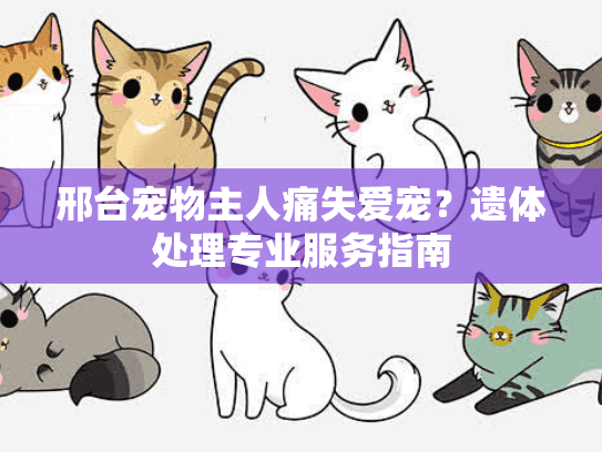 邢台宠物主人痛失爱宠?遗体处理专业服务指南 邢台宠物主人痛失爱宠?遗体处理专业服务指南