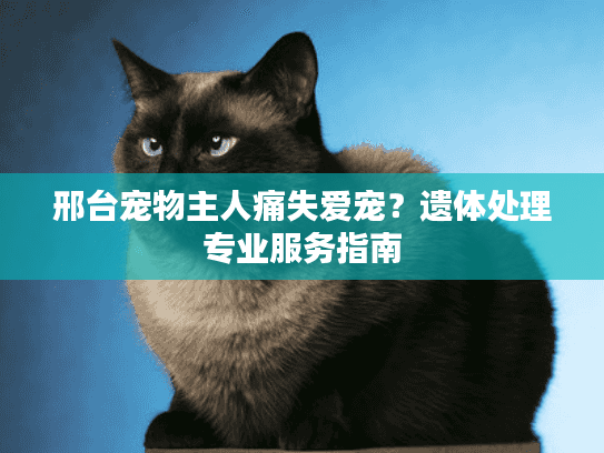 邢台宠物主人痛失爱宠?遗体处理专业服务指南 邢台宠物主人痛失爱宠?遗体处理专业服务指南