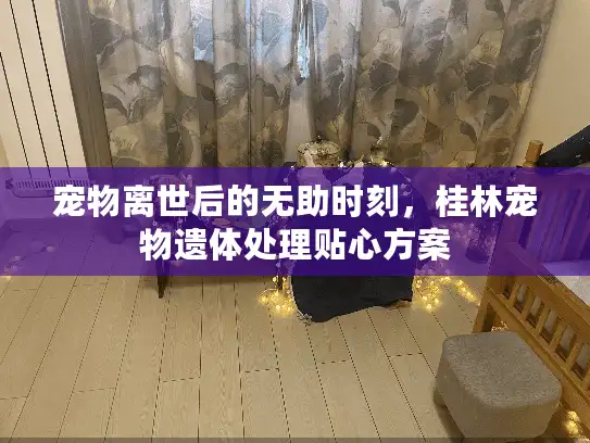 宠物离世后的无助时刻，桂林宠物遗体处理贴心方案