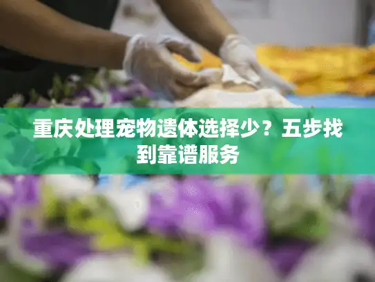 重庆处理宠物遗体选择少？五步找到靠谱服务