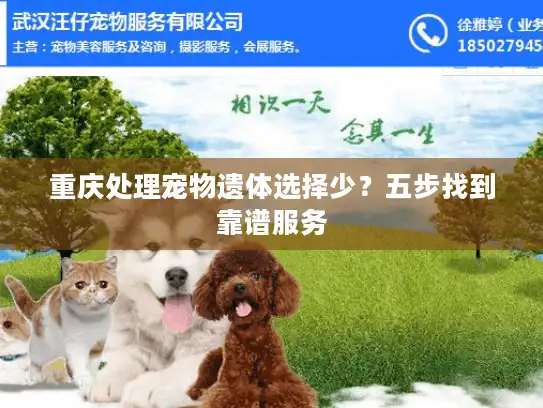 重庆处理宠物遗体选择少？五步找到靠谱服务
