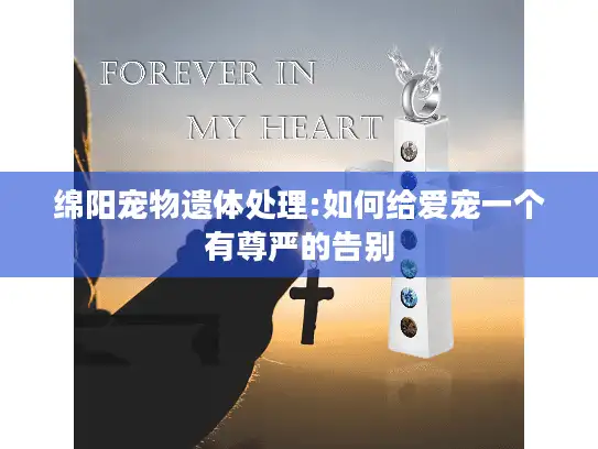 绵阳宠物遗体处理:如何给爱宠一个有尊严的告别
