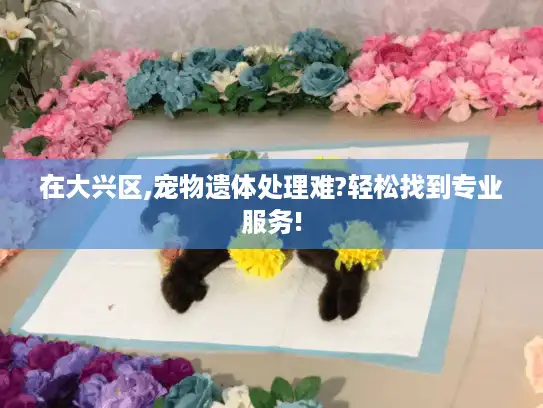 在大兴区,宠物遗体处理难?轻松找到专业服务!