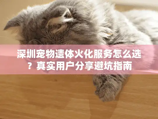 深圳宠物遗体火化服务怎么选？真实用户分享避坑指南